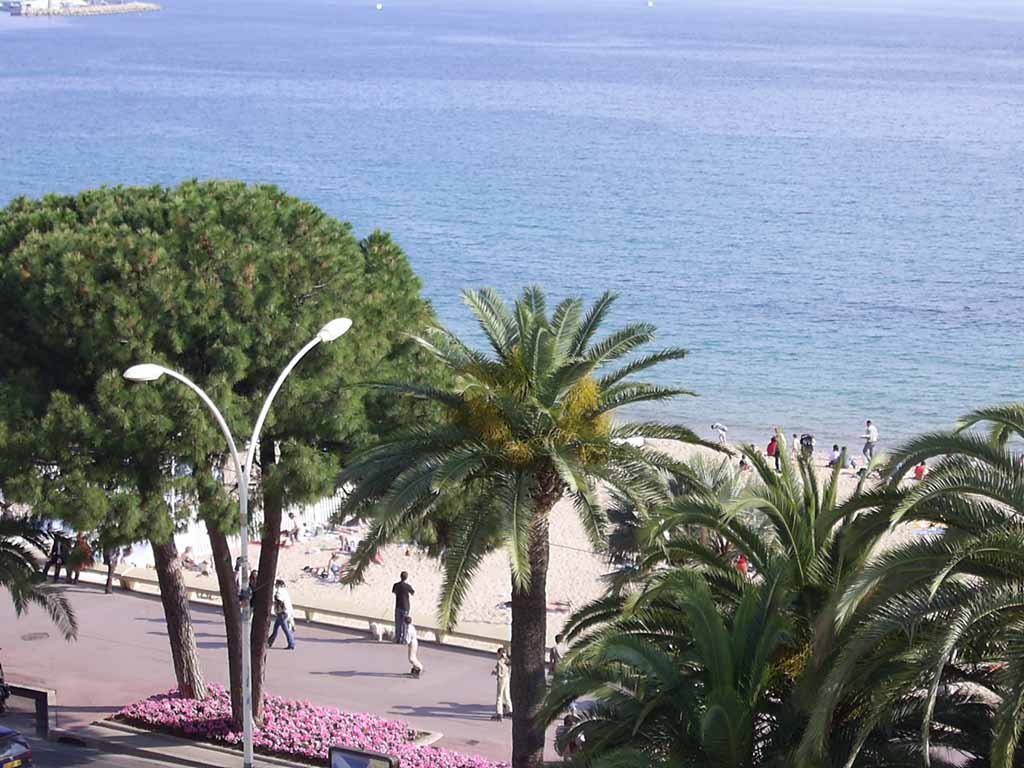 O 24 CROISETTE