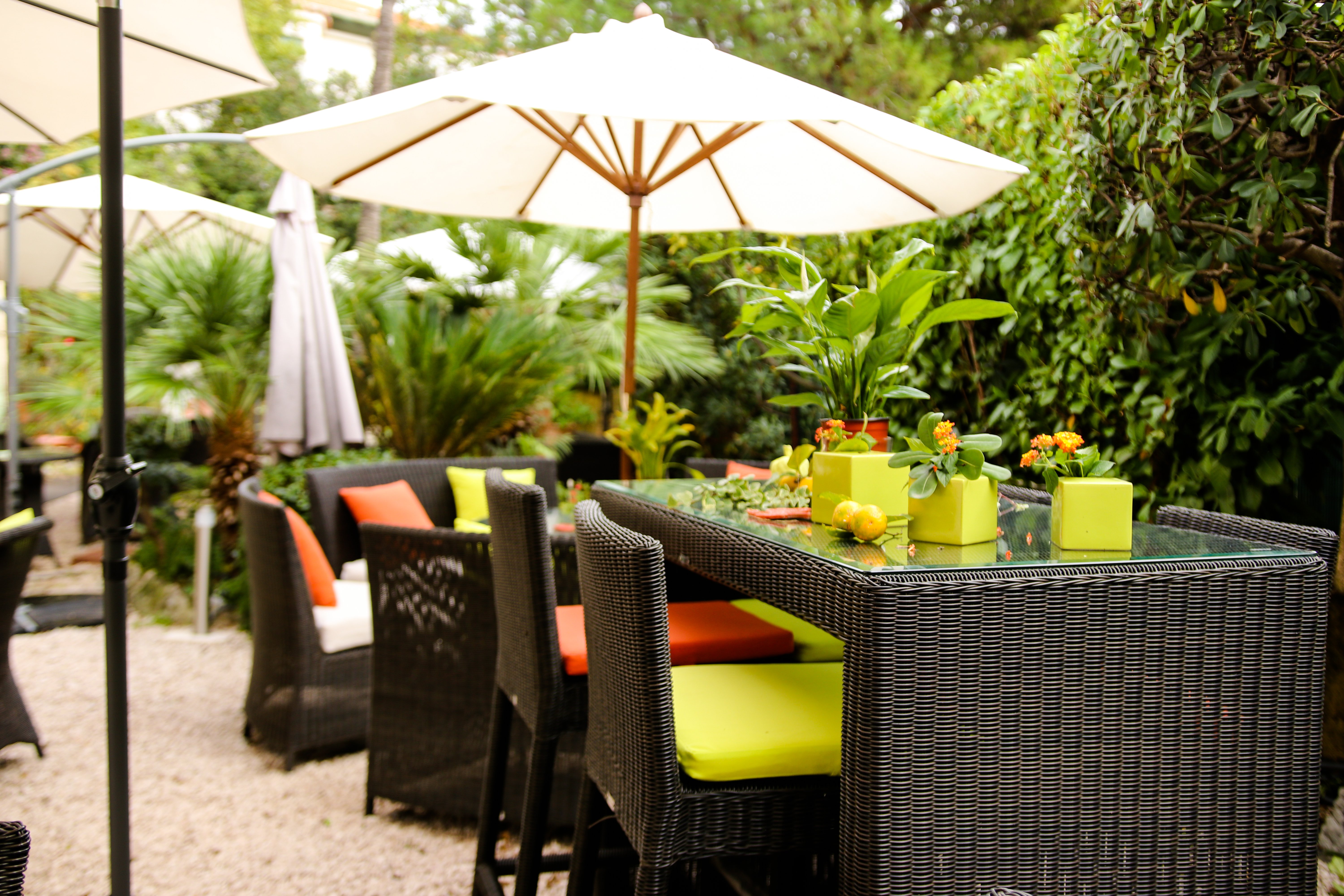 hotel-ideal-sejour-cannes-jardin hotel-ideal-sejour-cannes-jardin.jpg